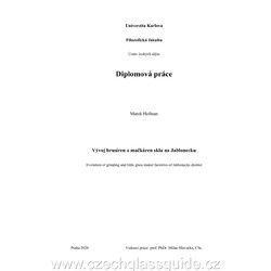 M. Hofman: Vývoj brusíren na Jablonecku - Diplomová práce