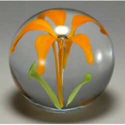 Jiří Samek - Paperweight 61 2003 14/10